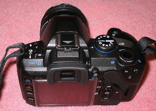 Fotograf na ślub